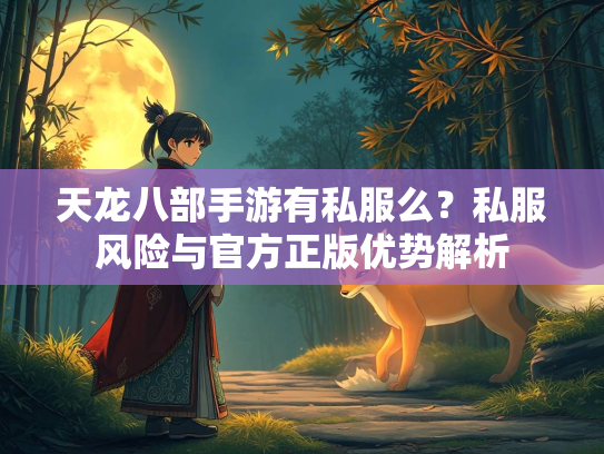 天龙八部手游有私服么？私服风险与官方正版优势解析