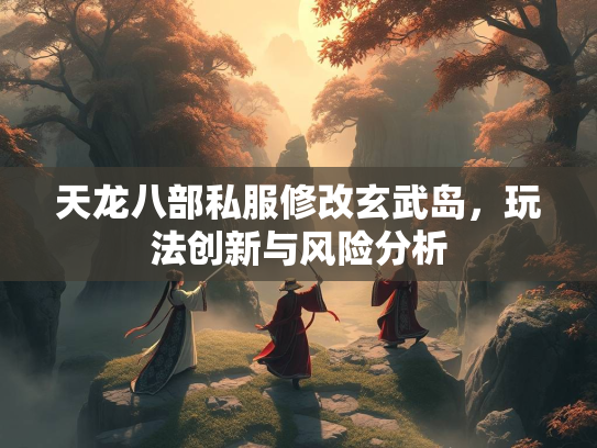 天龙八部私服修改玄武岛，玩法创新与风险分析
