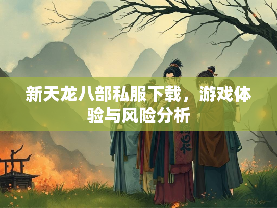 新天龙八部私服下载，游戏体验与风险分析