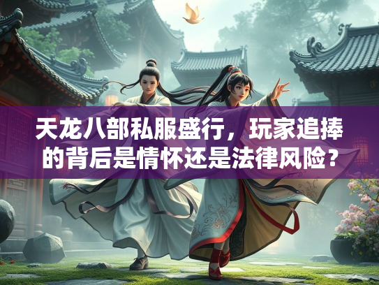 天龙八部私服盛行，玩家追捧的背后是情怀还是法律风险？