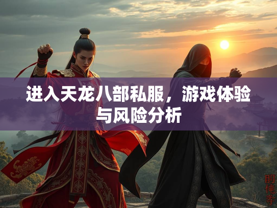 进入天龙八部私服，游戏体验与风险分析