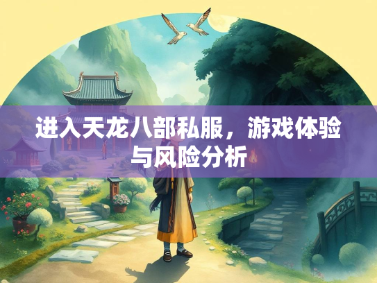 进入天龙八部私服，游戏体验与风险分析