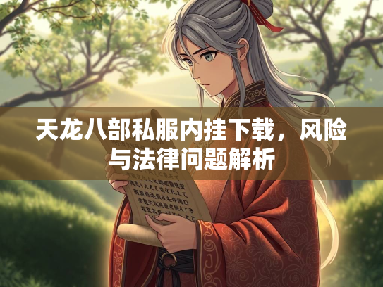 天龙八部私服内挂下载，风险与法律问题解析