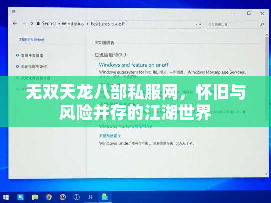 无双天龙八部私服网，怀旧与风险并存的江湖世界