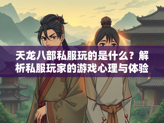 天龙八部私服玩的是什么？解析私服玩家的游戏心理与体验  第3张
