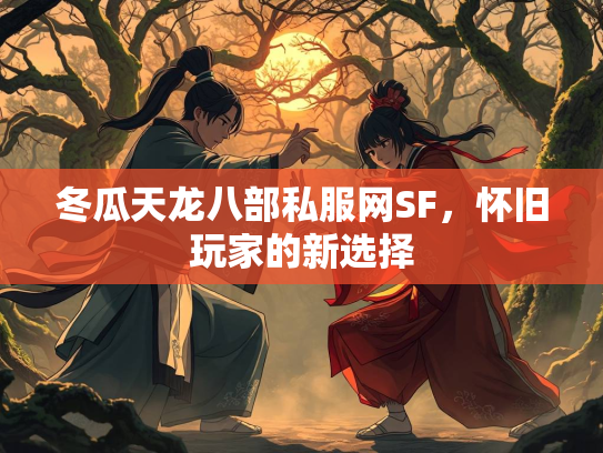 冬瓜天龙八部私服网SF，怀旧玩家的新选择