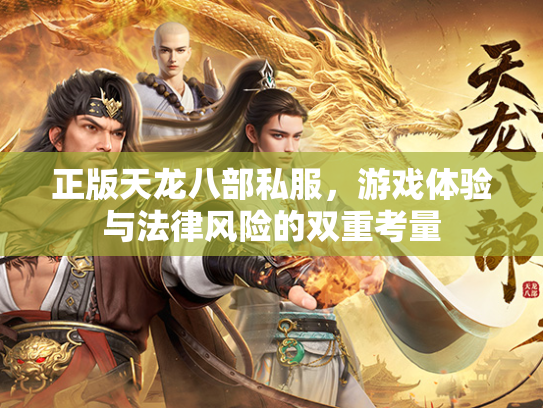 正版天龙八部私服，游戏体验与法律风险的双重考量