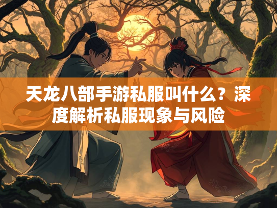 天龙八部手游私服叫什么？深度解析私服现象与风险