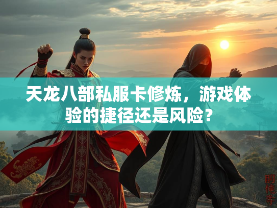 天龙八部私服卡修炼，游戏体验的捷径还是风险？