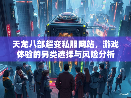天龙八部超变私服网站，游戏体验的另类选择与风险分析