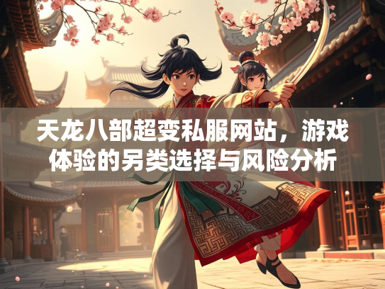 天龙八部超变私服网站，游戏体验的另类选择与风险分析