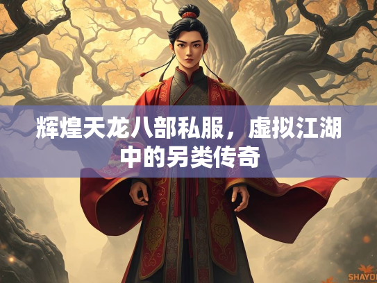 辉煌天龙八部私服，虚拟江湖中的另类传奇
