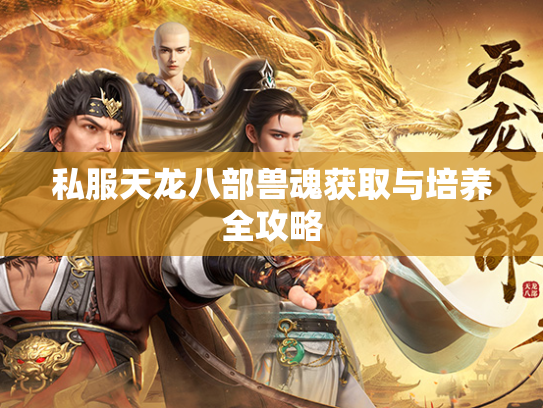 私服天龙八部兽魂获取与培养全攻略  第2张