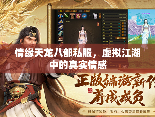 情缘天龙八部私服，虚拟江湖中的真实情感  第2张