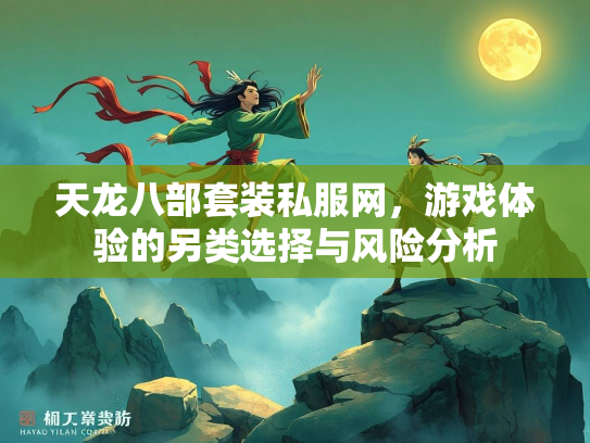 天龙八部套装私服网，游戏体验的另类选择与风险分析