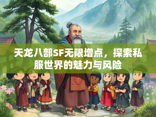 天龙八部SF无限增点，探索私服世界的魅力与风险  第2张