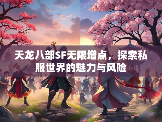 天龙八部SF无限增点，探索私服世界的魅力与风险