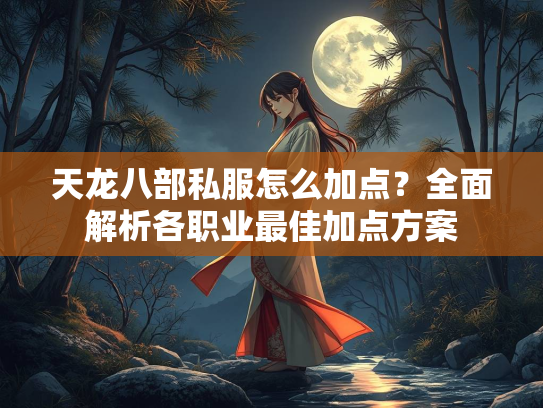 天龙八部私服怎么加点？全面解析各职业最佳加点方案  第2张