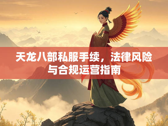 天龙八部私服手续，法律风险与合规运营指南