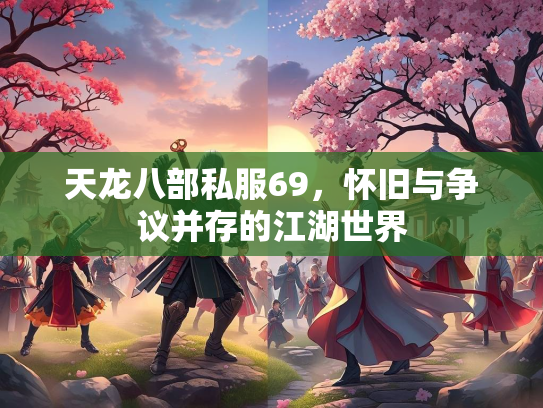 天龙八部私服69，怀旧与争议并存的江湖世界  第2张