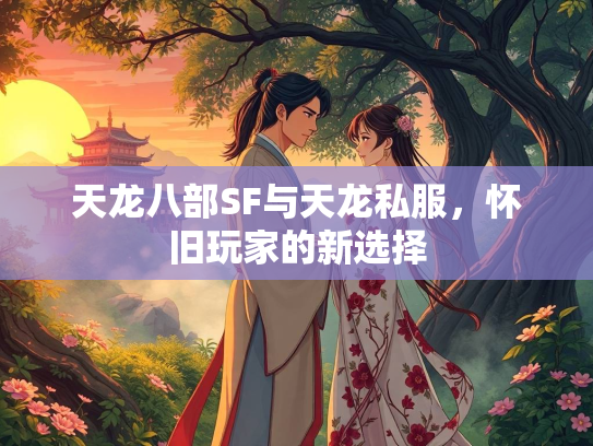 天龙八部SF与天龙私服，怀旧玩家的新选择  第3张
