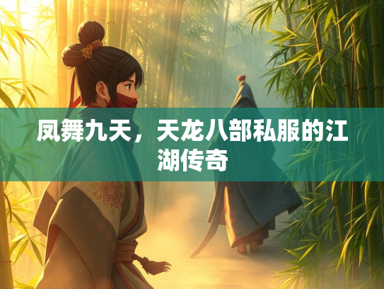 凤舞九天，天龙八部私服的江湖传奇  第2张