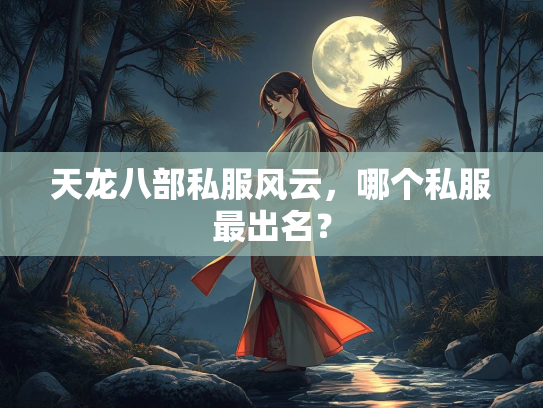 天龙八部私服风云，哪个私服最出名？