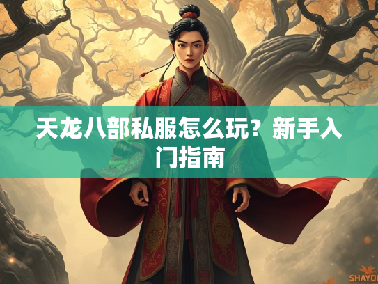 天龙八部私服怎么玩？新手入门指南