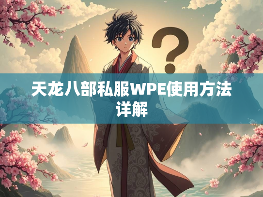 天龙八部私服WPE使用方法详解