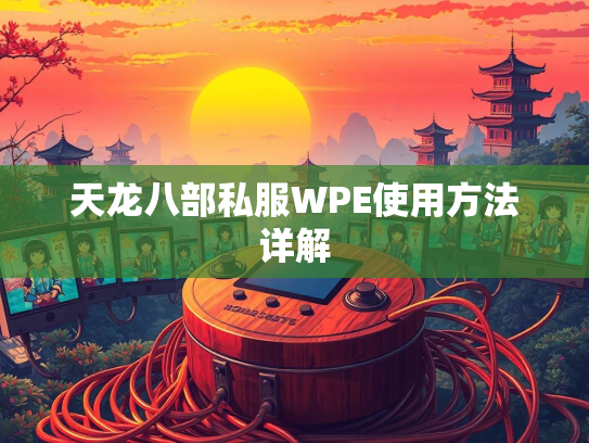 天龙八部私服WPE使用方法详解