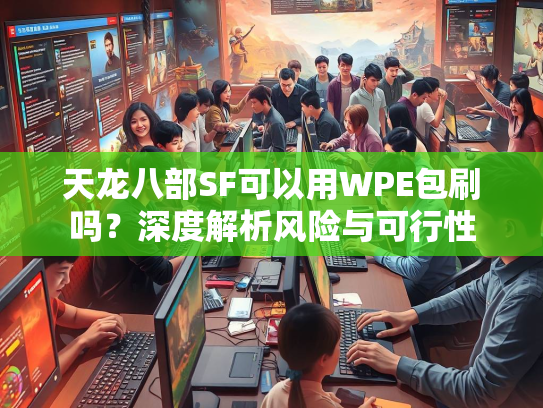 天龙八部SF可以用WPE包刷吗？深度解析风险与可行性
