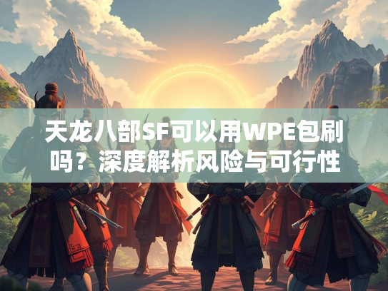 天龙八部SF可以用WPE包刷吗？深度解析风险与可行性
