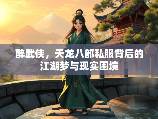 醉武侠，天龙八部私服背后的江湖梦与现实困境  第3张