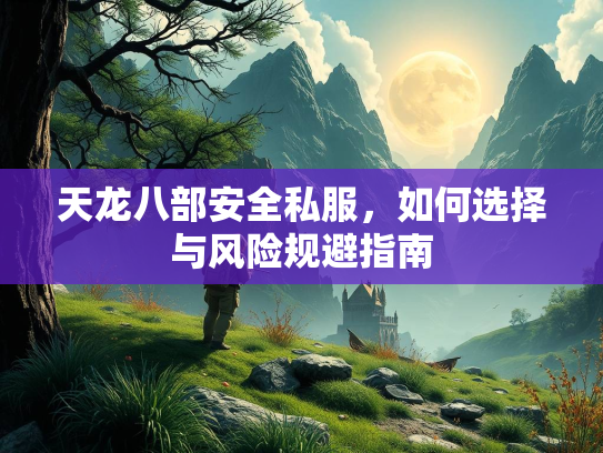 天龙八部安全私服，如何选择与风险规避指南  第2张