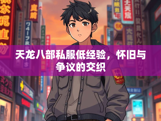 天龙八部私服低经验，怀旧与争议的交织