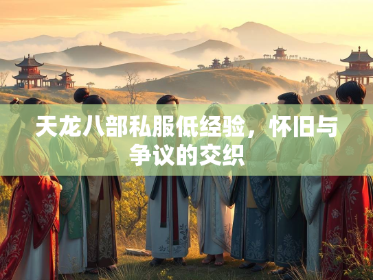 天龙八部私服低经验，怀旧与争议的交织