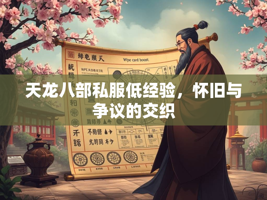 天龙八部私服低经验，怀旧与争议的交织