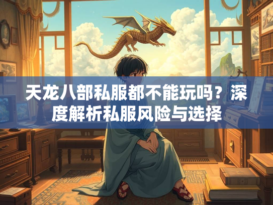 天龙八部私服都不能玩吗？深度解析私服风险与选择