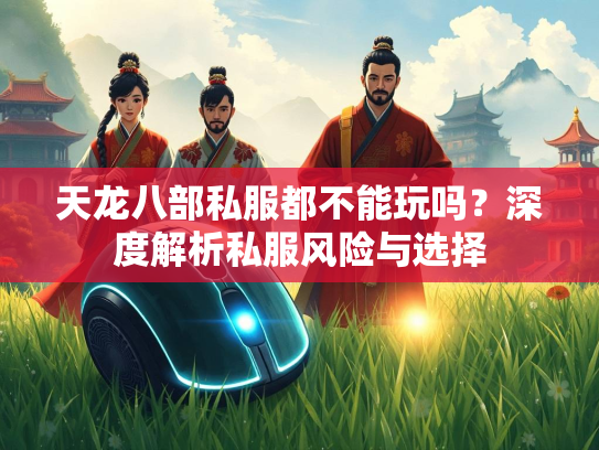 天龙八部私服都不能玩吗？深度解析私服风险与选择