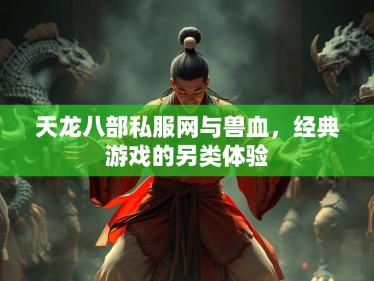 天龙八部私服网与兽血，经典游戏的另类体验