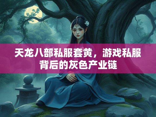 天龙八部私服套黄，游戏私服背后的灰色产业链