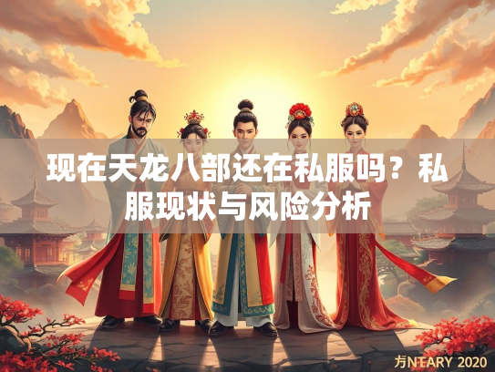 现在天龙八部还在私服吗？私服现状与风险分析