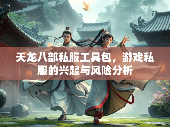 天龙八部私服工具包，游戏私服的兴起与风险分析