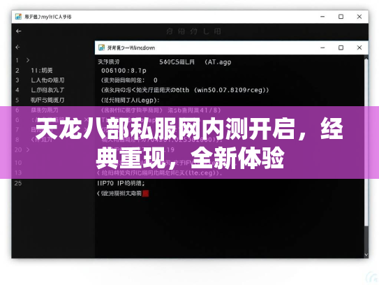 天龙八部私服网内测开启，经典重现，全新体验