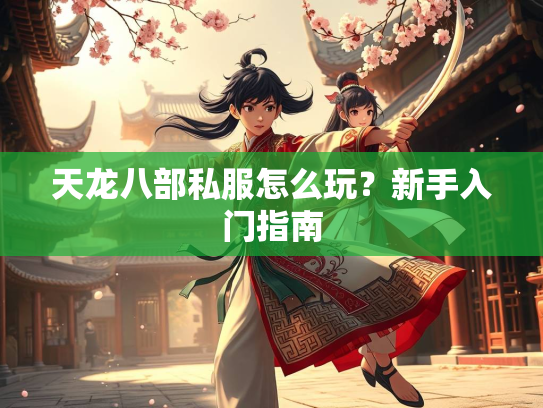天龙八部私服怎么玩？新手入门指南