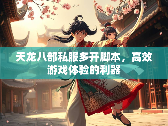 天龙八部私服多开脚本，高效游戏体验的利器