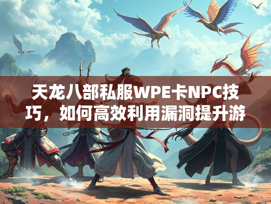 天龙八部私服WPE卡NPC技巧，如何高效利用漏洞提升游戏体验