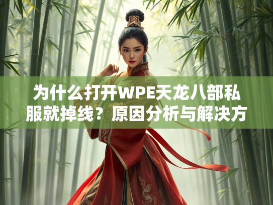为什么打开WPE天龙八部私服就掉线？原因分析与解决方案