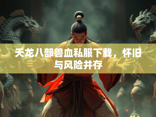 天龙八部兽血私服下载，怀旧与风险并存  第4张