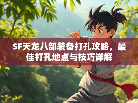 SF天龙八部装备打孔攻略，最佳打孔地点与技巧详解  第2张